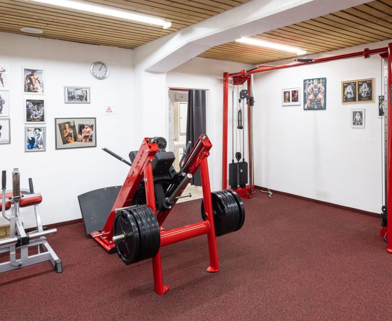 Fitnessstudio Impressionen - Genesis Gym -  Rheinfelden -  Schweiz -  Fitness -  Kampfsport - Ausdauertraining -  Krafttraining -  Herzkreislaufsystem -  Cardio -  Cardiogeräte -  Crosstrainer -  Laufbänder -  Computerfahrräder -  Rudergometer -  Bildschirm -  TV -  Herz -  Bestform -  Stressabbau -  Bodybuilding -  24h -  Ernährungsplan -  Wettkampfvorbereitung -  Juniorenbetreuung -  Senioren-Training - Cornelius Schweizer -  Bodybuilding -  Fitness -  Kampfsport -  Thaiboxen -  Boxen -  MMA – BJJ – Grappling - Kampfsport -  Fit -  Kampfsportarten -  Boxen -  Thaiboxen -  Kickboxen -  Training -  Beweglichkeit -  Geschwindigkeit -  Kraft -  Stärke -  MMA -  Mixed Martial Arts -  Brazilian Jiu-Jitsu -  Muay Thai -  Judo -  Sambo -  Karate -  Ringen -  Grappling -  Athleten -  Treten -  Schlagen -  Clinchen -  Werfen -  Bodenkampf -  Vollkontaktsport -  Konditionstraining -  Sandsacktraining -  Techniktraining -  Pratzen -  Sparring -  Krafttraining -  Muskulatur -  Fitnessgeräte -  Hanteln -  Fettverbrennung -  Abnehmen -  Sport -  Training -  Trainsingsplan -  Bodybuilding -  24h -  Ernährungsplan -  Wettkampfvorbereitung -  Juniorenbetreuung -  Senioren-Training