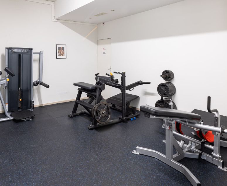 Fitnessstudio Impressionen - Genesis Gym -  Rheinfelden -  Schweiz -  Fitness -  Kampfsport - Ausdauertraining -  Krafttraining -  Herzkreislaufsystem -  Cardio -  Cardiogeräte -  Crosstrainer -  Laufbänder -  Computerfahrräder -  Rudergometer -  Bildschirm -  TV -  Herz -  Bestform -  Stressabbau -  Bodybuilding -  24h -  Ernährungsplan -  Wettkampfvorbereitung -  Juniorenbetreuung -  Senioren-Training - Cornelius Schweizer -  Bodybuilding -  Fitness -  Kampfsport -  Thaiboxen -  Boxen -  MMA – BJJ – Grappling - Kampfsport -  Fit -  Kampfsportarten -  Boxen -  Thaiboxen -  Kickboxen -  Training -  Beweglichkeit -  Geschwindigkeit -  Kraft -  Stärke -  MMA -  Mixed Martial Arts -  Brazilian Jiu-Jitsu -  Muay Thai -  Judo -  Sambo -  Karate -  Ringen -  Grappling -  Athleten -  Treten -  Schlagen -  Clinchen -  Werfen -  Bodenkampf -  Vollkontaktsport -  Konditionstraining -  Sandsacktraining -  Techniktraining -  Pratzen -  Sparring -  Krafttraining -  Muskulatur -  Fitnessgeräte -  Hanteln -  Fettverbrennung -  Abnehmen -  Sport -  Training -  Trainsingsplan -  Bodybuilding -  24h -  Ernährungsplan -  Wettkampfvorbereitung -  Juniorenbetreuung -  Senioren-Training