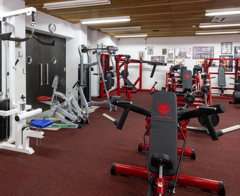 Fitnessstudio Impressionen - Genesis Gym -  Rheinfelden -  Schweiz -  Fitness -  Kampfsport - Ausdauertraining -  Krafttraining -  Herzkreislaufsystem -  Cardio -  Cardiogeräte -  Crosstrainer -  Laufbänder -  Computerfahrräder -  Rudergometer -  Bildschirm -  TV -  Herz -  Bestform -  Stressabbau -  Bodybuilding -  24h -  Ernährungsplan -  Wettkampfvorbereitung -  Juniorenbetreuung -  Senioren-Training - Cornelius Schweizer -  Bodybuilding -  Fitness -  Kampfsport -  Thaiboxen -  Boxen -  MMA – BJJ – Grappling - Kampfsport -  Fit -  Kampfsportarten -  Boxen -  Thaiboxen -  Kickboxen -  Training -  Beweglichkeit -  Geschwindigkeit -  Kraft -  Stärke -  MMA -  Mixed Martial Arts -  Brazilian Jiu-Jitsu -  Muay Thai -  Judo -  Sambo -  Karate -  Ringen -  Grappling -  Athleten -  Treten -  Schlagen -  Clinchen -  Werfen -  Bodenkampf -  Vollkontaktsport -  Konditionstraining -  Sandsacktraining -  Techniktraining -  Pratzen -  Sparring -  Krafttraining -  Muskulatur -  Fitnessgeräte -  Hanteln -  Fettverbrennung -  Abnehmen -  Sport -  Training -  Trainsingsplan -  Bodybuilding -  24h -  Ernährungsplan -  Wettkampfvorbereitung -  Juniorenbetreuung -  Senioren-Training